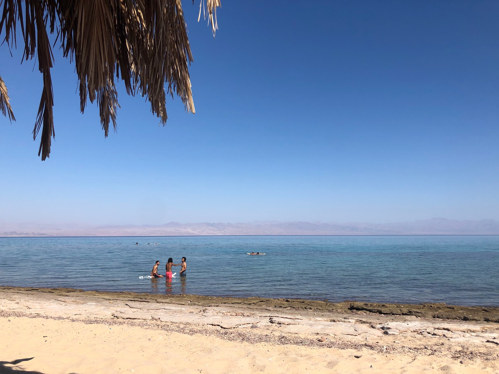 Al Magarra beach的照片 带有碧绿色纯水表面