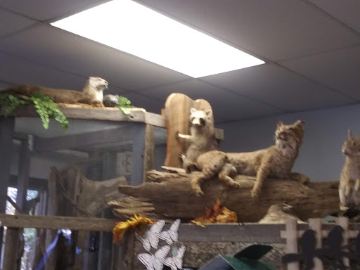 Park «Barfield Crescent Park», reviews and photos, 697 Veterans Pkwy, Murfreesboro, TN 37128, USA