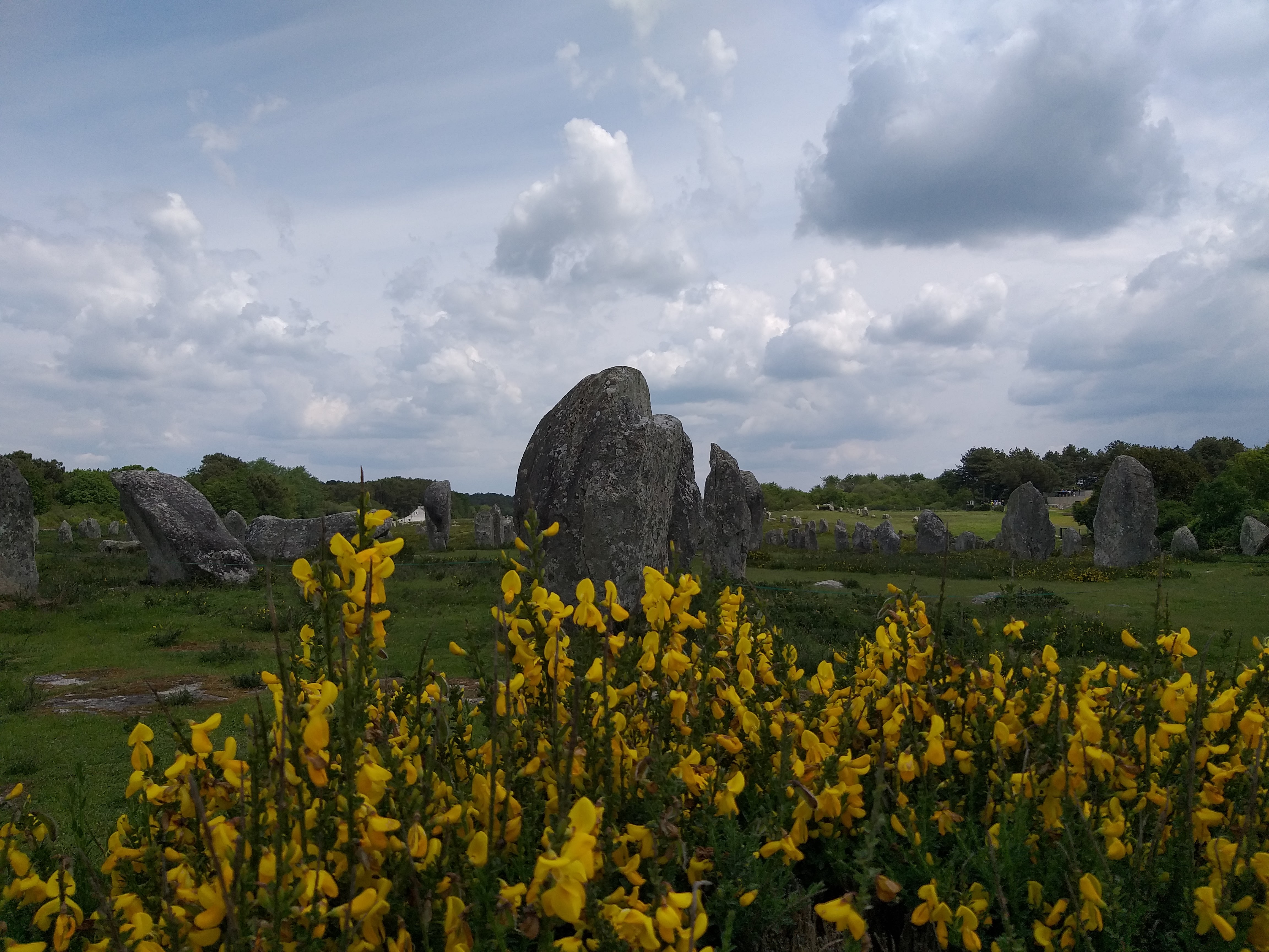 Photo n° 1 de l'avis de Soph. fait le 18/05/2023 à 17:01