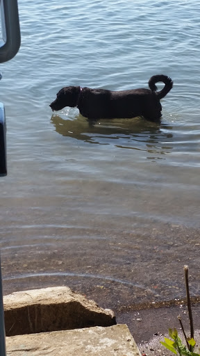 Museum «Grosse Ile Historical Museum», reviews and photos, 25000 E River Rd, Grosse Ile Township, MI 48138, USA