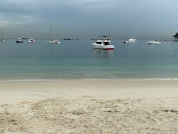 Lazarus Island Beach'in fotoğrafı imkanlar alanı
