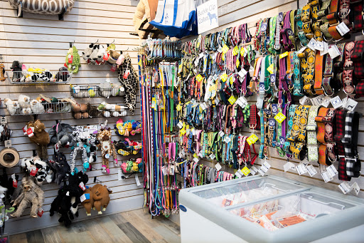 Gift Shop «Nautical Dog LLC», reviews and photos, 5104 Main St, Williamsburg, VA 23188, USA