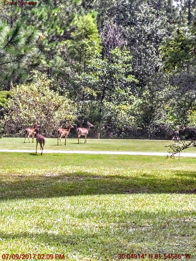 Golf Club «The Golf Club at South Hampton», reviews and photos, 315 S Hampton Club Way, St Augustine, FL 32092, USA