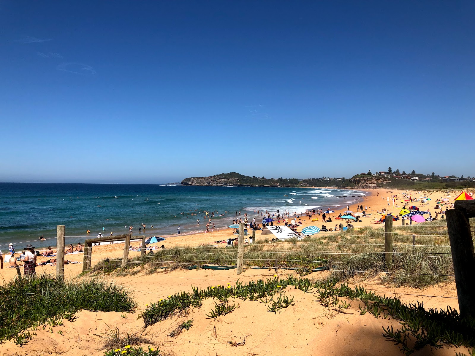 Mona Vale Beach'in fotoğrafı imkanlar alanı
