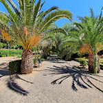 Photo n°17 de l'avis de Alex.t fait le 25/08/2020 à 18:03 sur le  Restaurante Fonte Férrea à Odemira