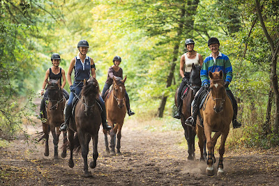 Horse Holidays France à Maisons-Laffitte