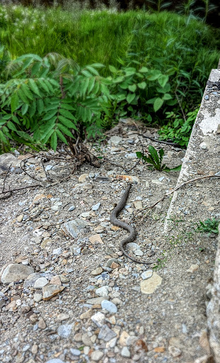 Golf Course «Downing Golf Course», reviews and photos, 1347 Troupe Rd, Harborcreek, PA 16421, USA