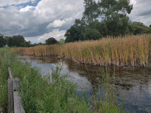 Nature Preserve «Rollins Savanna Forest Preserve», reviews and photos, 20160 W Washington St, Grayslake, IL 60030, USA