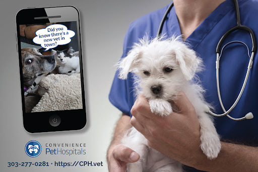 Mailing Service «Cactus Mailing Company», reviews and photos, 16020 N 77th St, Scottsdale, AZ 85260, USA