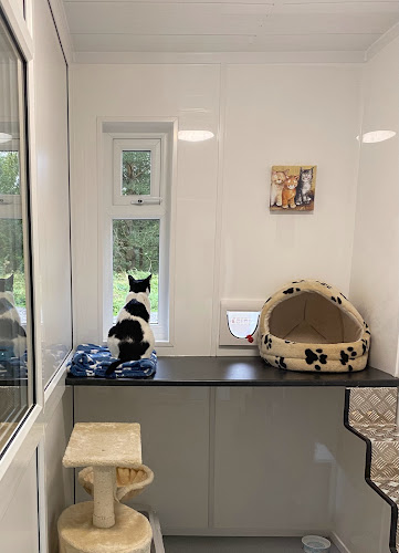 Greenfield Lodge Cattery - Veterinarian