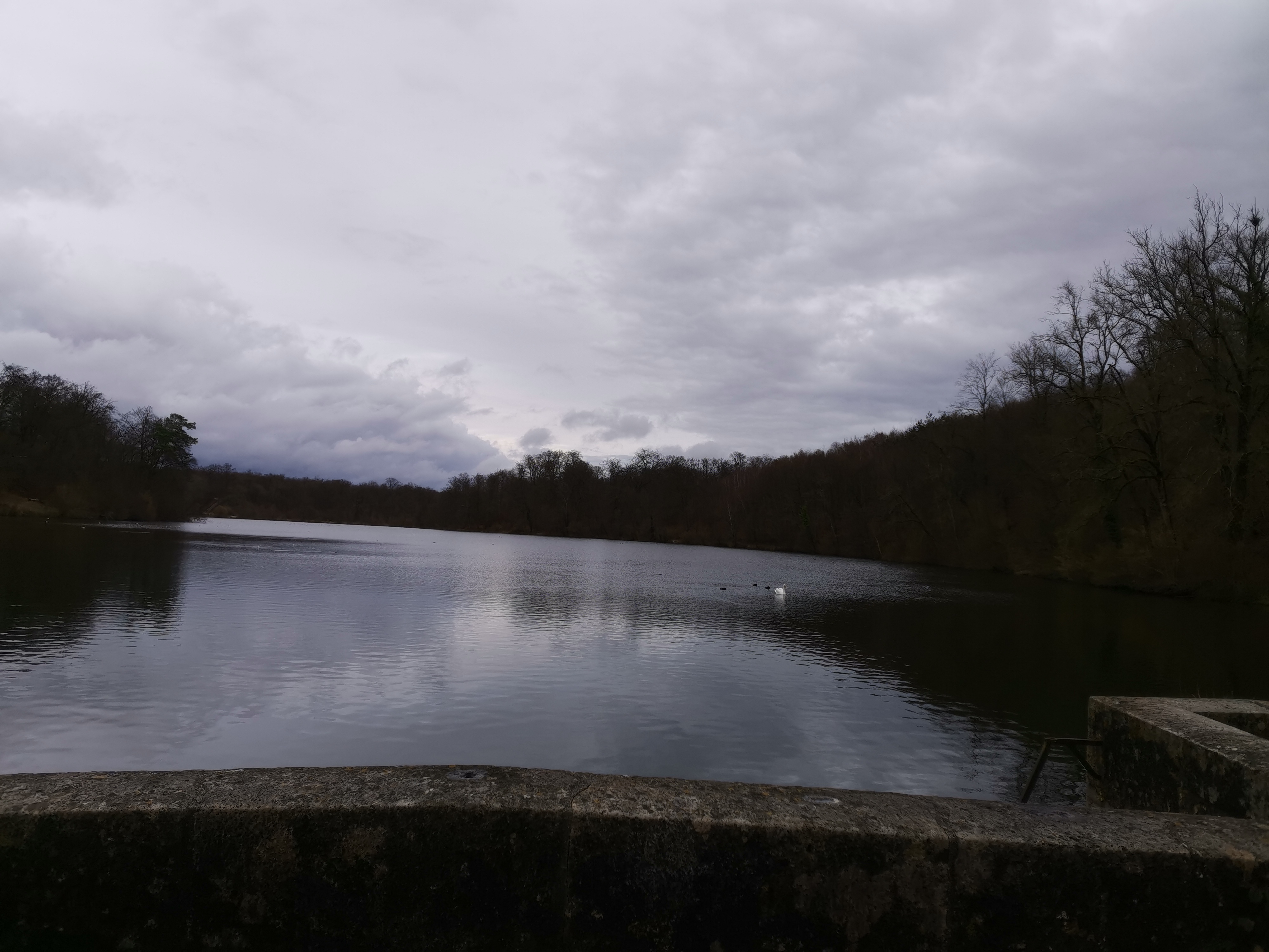 Photo n° 1 de l'avis de lopes.a fait le 15/02/2020 à 17:00
