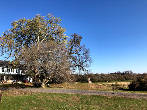 Produce Market «Solly Brothers», reviews and photos, 707 Almshouse Rd, Warminster, PA 18974, USA