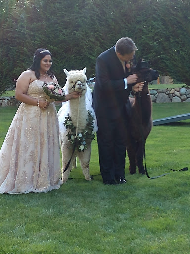 Wedding Venue «Green Gates At Flowing Lake», reviews and photos, 4919 175th Ave SE, Snohomish, WA 98290, USA