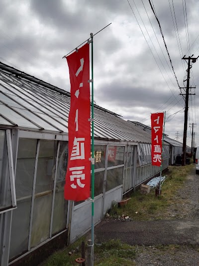 近藤農園 トマト直売所