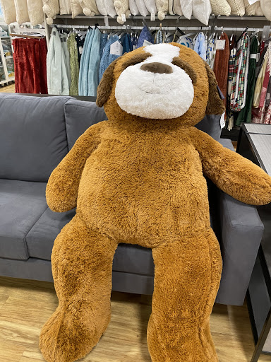 Department Store «HomeGoods», reviews and photos, 1200 Cooper Point Rd SW, Olympia, WA 98502, USA