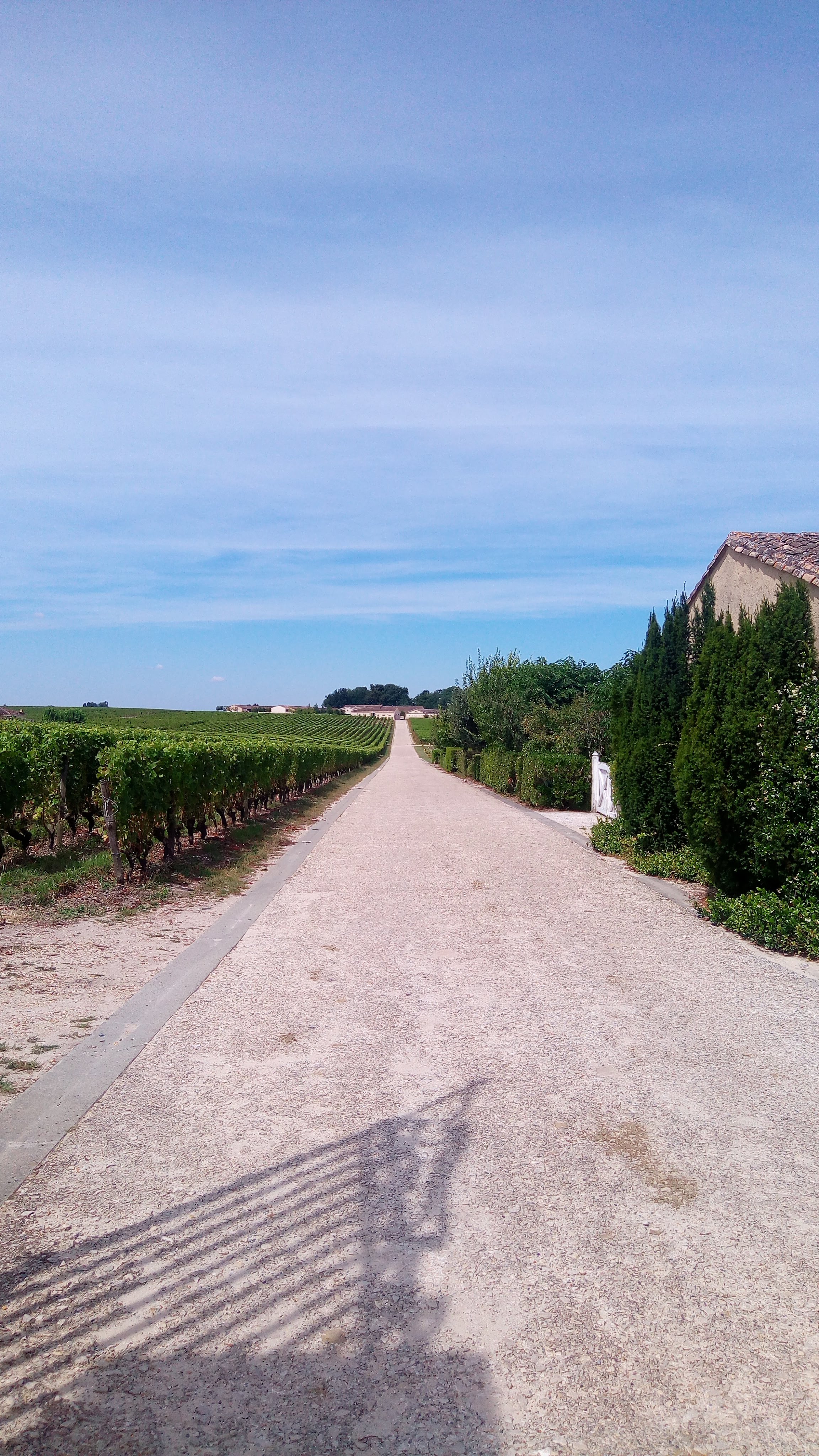 Photo n° 3 de l'avis de corrado.i fait le 29/08/2018 à 13:41