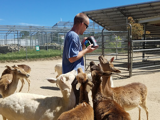 Zoo «Sierra Safari Zoo», reviews and photos, 10200 N Virginia St, Reno, NV 89506, USA