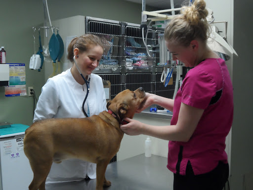 Derrydale Animal Hospital image