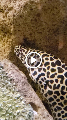 Aquarium «The Maritime Aquarium at Norwalk», reviews and photos, 10 N Water St, Norwalk, CT 06854, USA