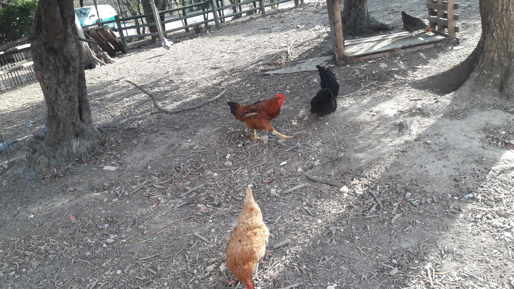 Photo n° 5 de l'avis de Virginie.a fait le 25/04/2017 à 20:00