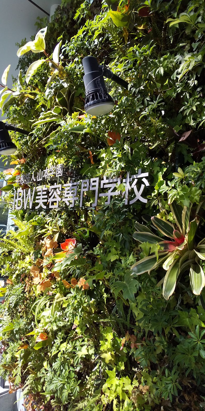 IBW美容専門学校