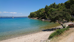 Gornja Krusica beach'in fotoğrafı küçük koy ile birlikte