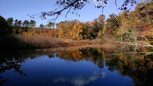 Fuchs Pond Preserve image 1