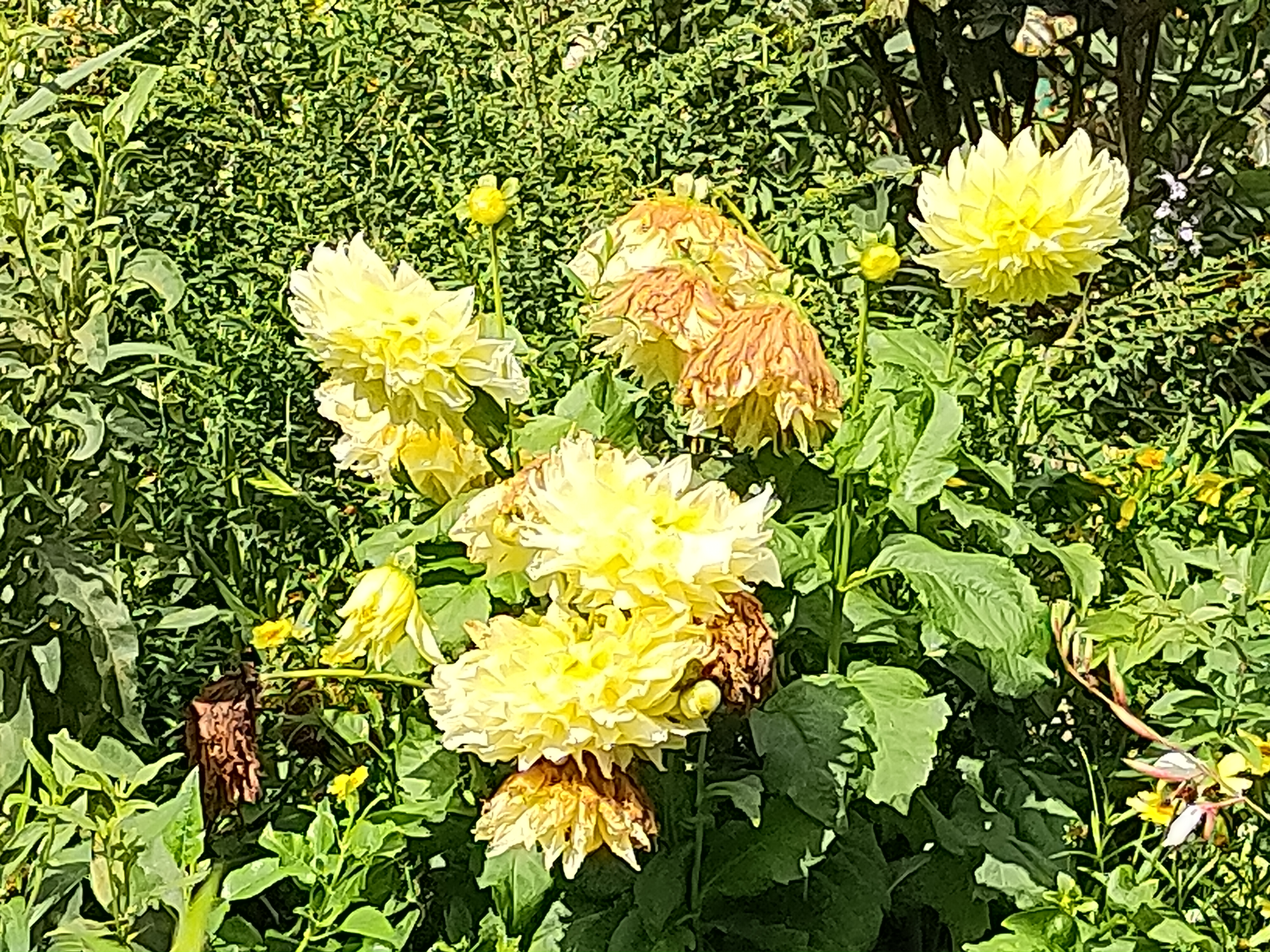 Photo n° 8 de l'avis de Lumin.U fait le 29/08/2023 à 15:58