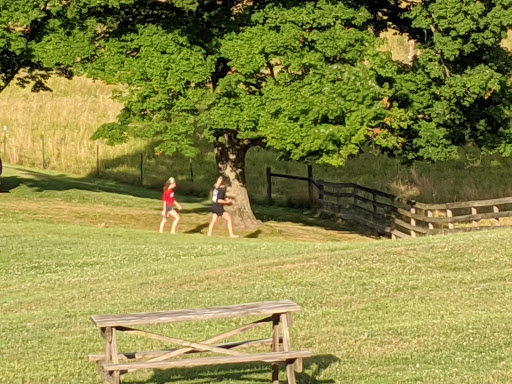 Vineyard «The Winery at Wolf Creek», reviews and photos, 2637 S Cleveland Massillon Rd, Barberton, OH 44203, USA