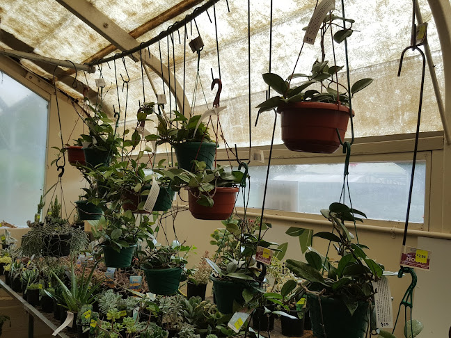 Reviews of Kaimai Garden Centre in Matamata - Landscaper