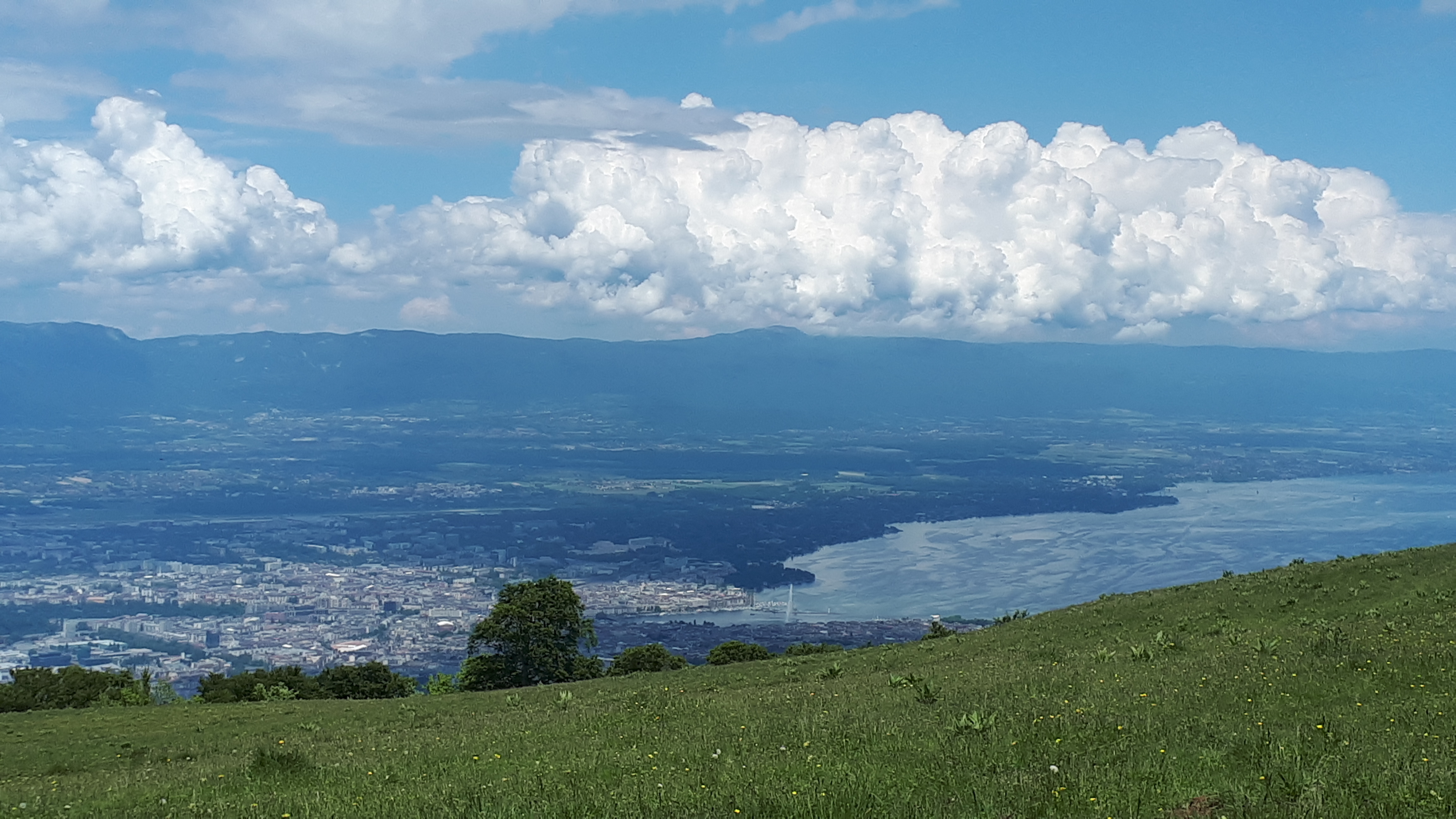 Photo n° 2 de l'avis de Paulo.o fait le 27/05/2018 à 17:14