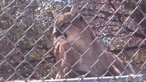Zoo «Heritage Park Zoological Sanctuary», reviews and photos, 1403 Heritage Park Rd, Prescott, AZ 86301, USA