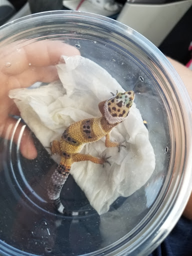 Pet Supply Store «Pet Supplies Plus», reviews and photos, 625 Southern Artery, Quincy, MA 02169, USA