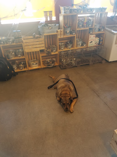 Pet Supply Store «The Naked Dog (Protein For Pets)», reviews and photos, 7385 Milliken Ave #120, Rancho Cucamonga, CA 91730, USA