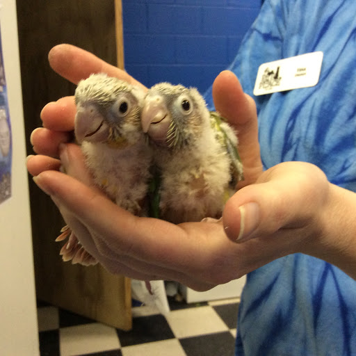 Pet Store «The Pet Place», reviews and photos, 240 Shadowline Dr, Boone, NC 28607, USA