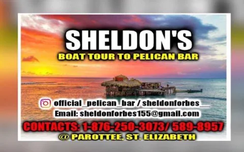 Sheldon's Boat Tour to Floyd's Pelican Bar image