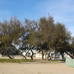 Photo n°13 de l'avis de Carmine. fait le 31/10/2022 à 13:17 sur le  Baja Blanca Beach à Porto Santa Margherita