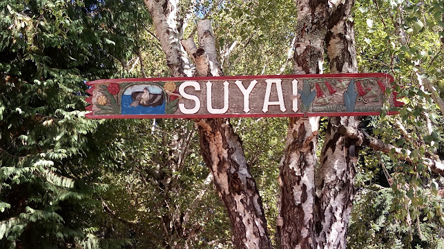 Comentarios y opiniones de Camping Suyai