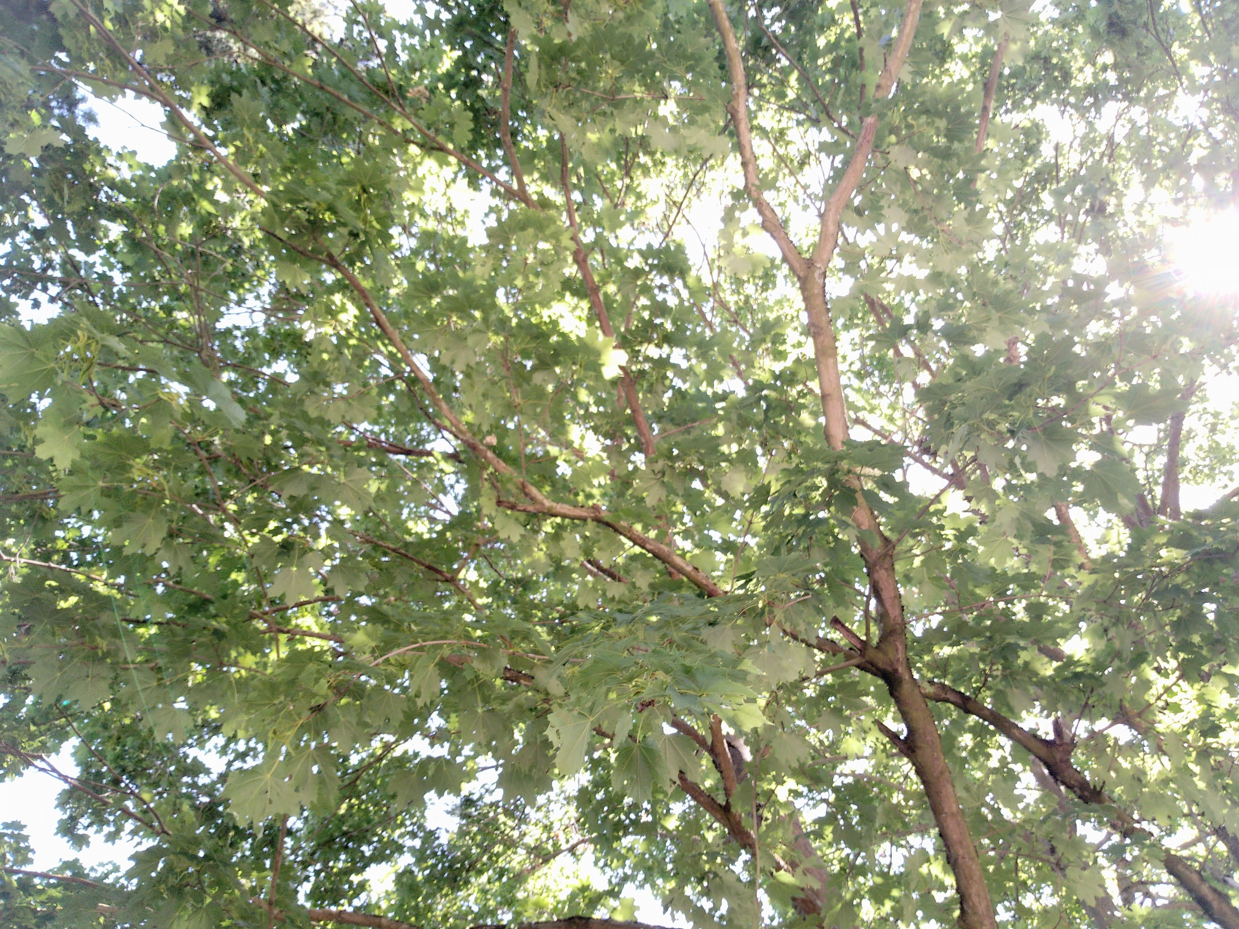 Photo n° 15 de l'avis de erika. fait le 29/05/2022 à 11:34