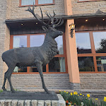 Photo n°3 de l'avis de King.r fait le 12/04/2024 à 10:21 sur le  Spesssart-Lodge à Weibersbrunn