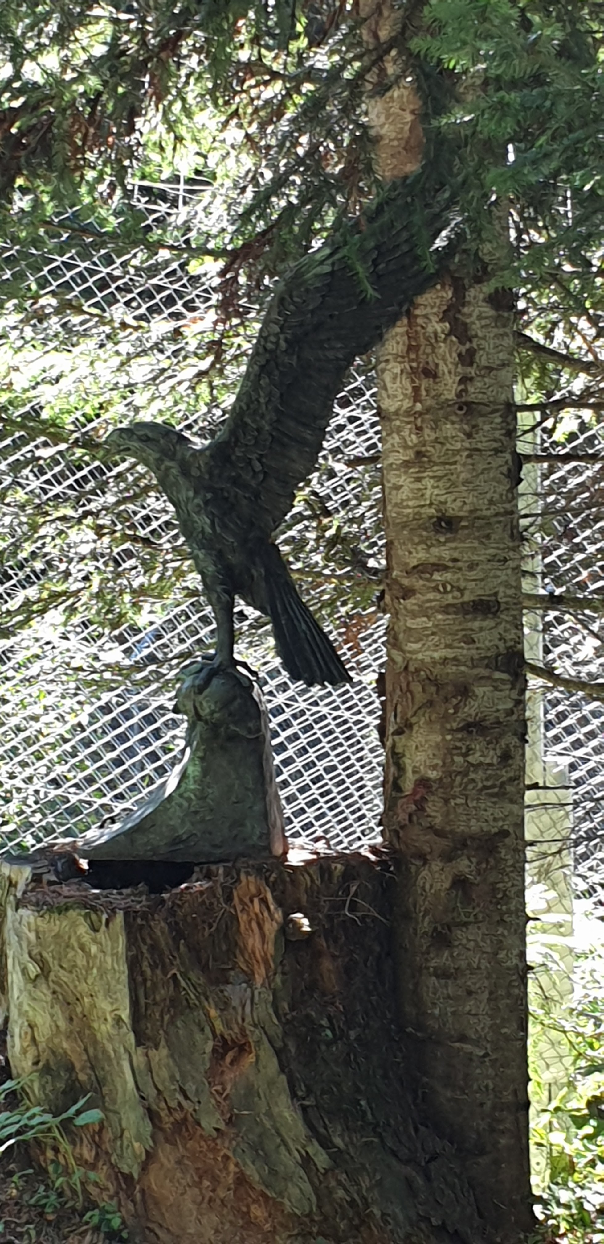 Photo n° 3 de l'avis de peggy.o fait le 07/10/2020 à 06:30