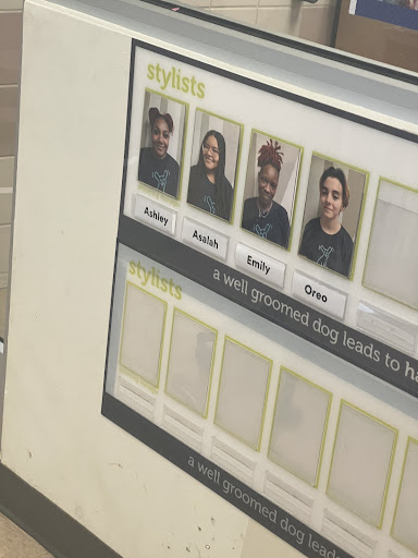 Pet Supply Store «Petco Animal Supplies», reviews and photos, 1350 S Ironton St #120, Aurora, CO 80012, USA