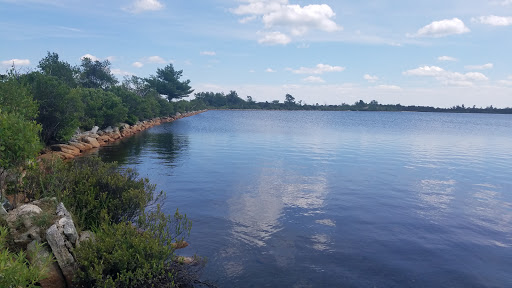 Tourist Attraction «Ice Caves», reviews and photos, Sams Point Rd, Pine Bush, NY 12566, USA
