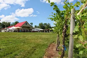 The Winery at Hunters Valley image