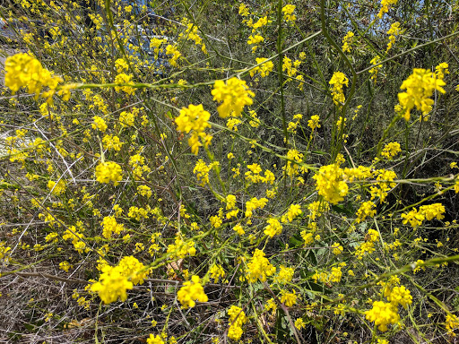 Cable Company «Time Warner», reviews and photos, 10450 Pacific Center Ct, San Diego, CA 92121, USA