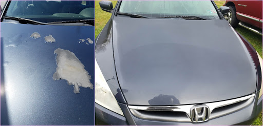 Auto Body Shop «Berks Auto Collision Center», reviews and photos, 3 Dutch Ct, Sinking Spring, PA 19608, USA