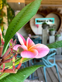 Photos du propriétaire du Restaurant Blooming Day Velaux - n°12