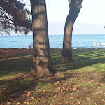 Photo n°1 de l'avis de Annalisa.o fait le 23/12/2023 à 16:06 sur le  Ristorante Lugana à Sirmione