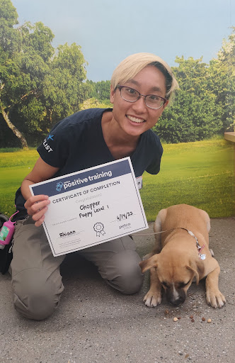 Pet Supply Store «Petco Animal Supplies», reviews and photos, 845 S Arroyo Pkwy, Pasadena, CA 91105, USA