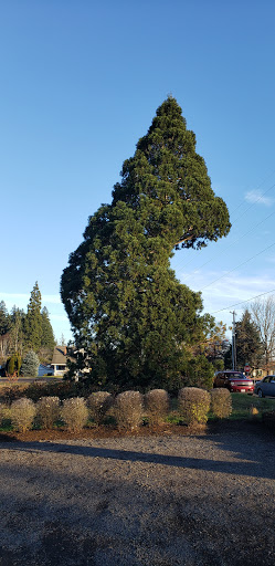 Farm «Pacific Hazelnut Farms & Candy Factory», reviews and photos, 14673 Ottaway Rd NE, Aurora, OR 97002, USA